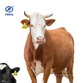 LF RFID EAR EAR TAG para gado de vaca